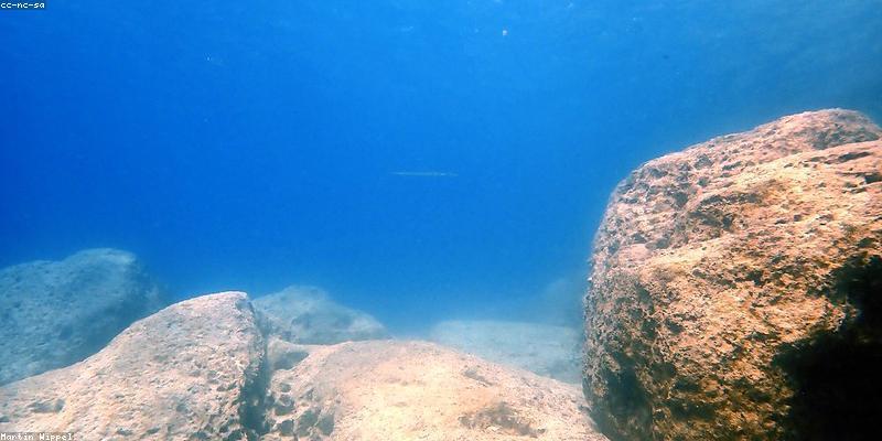 Cyprus