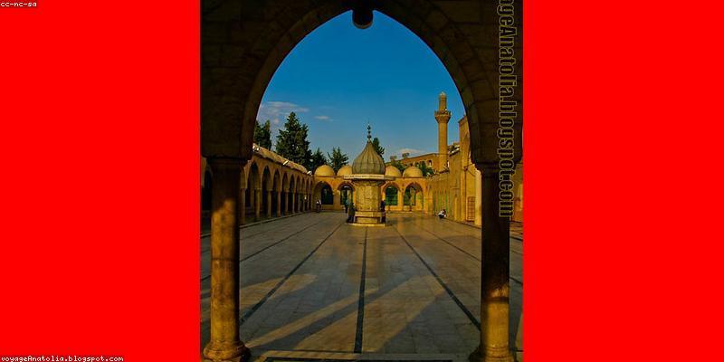 Iraq