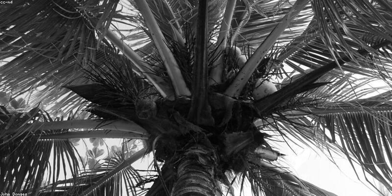 Jamaica