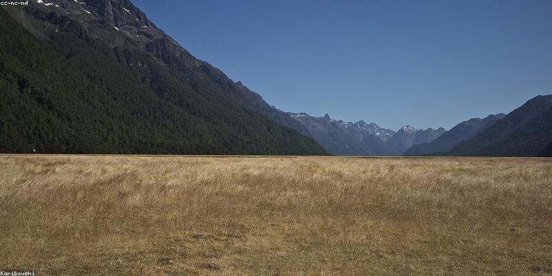 New Zealand